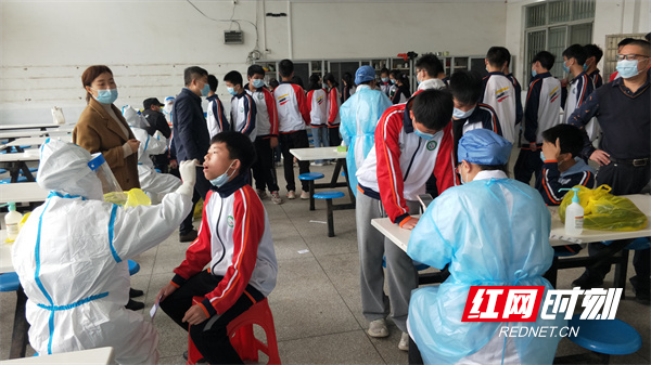 學校疫情最新分析報告，最新動態與數據解讀