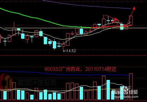 第1000頁
