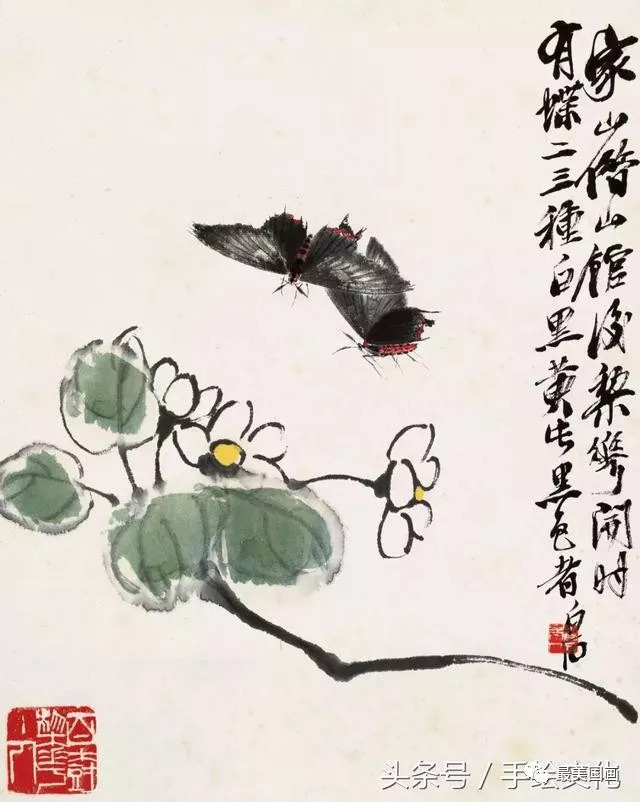 書亦最新款，探索知識(shí)的新領(lǐng)域之旅