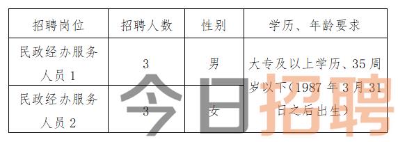 云龍縣發展和改革局最新招聘信息全面解析