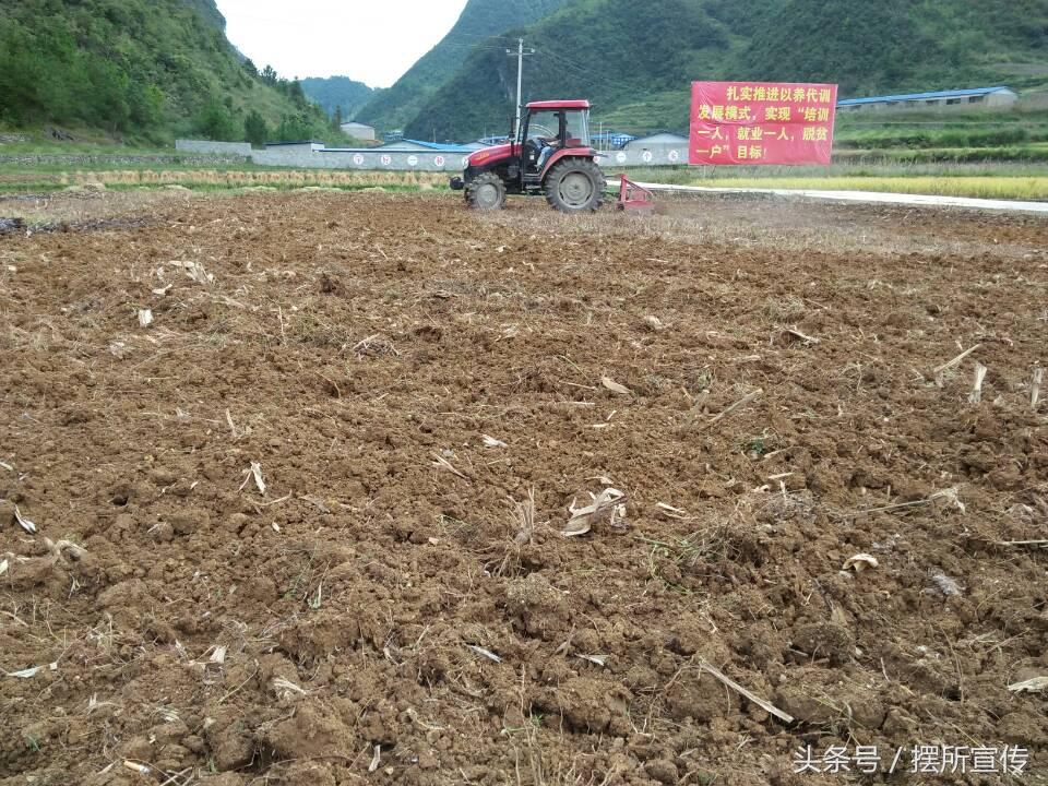 長(zhǎng)順縣未來(lái)藍(lán)圖揭秘，最新規(guī)劃展望發(fā)展之路