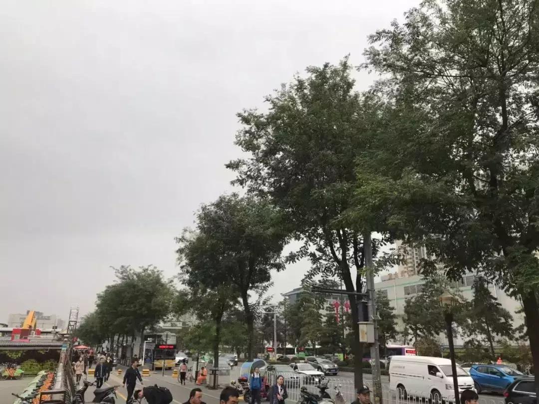禮泉最新天氣預(yù)報(bào)與生活指南