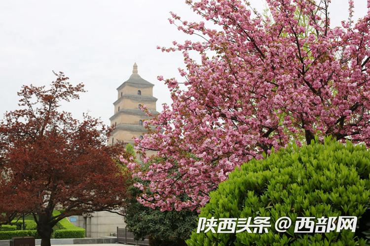 污水處理設(shè)備 第82頁(yè)