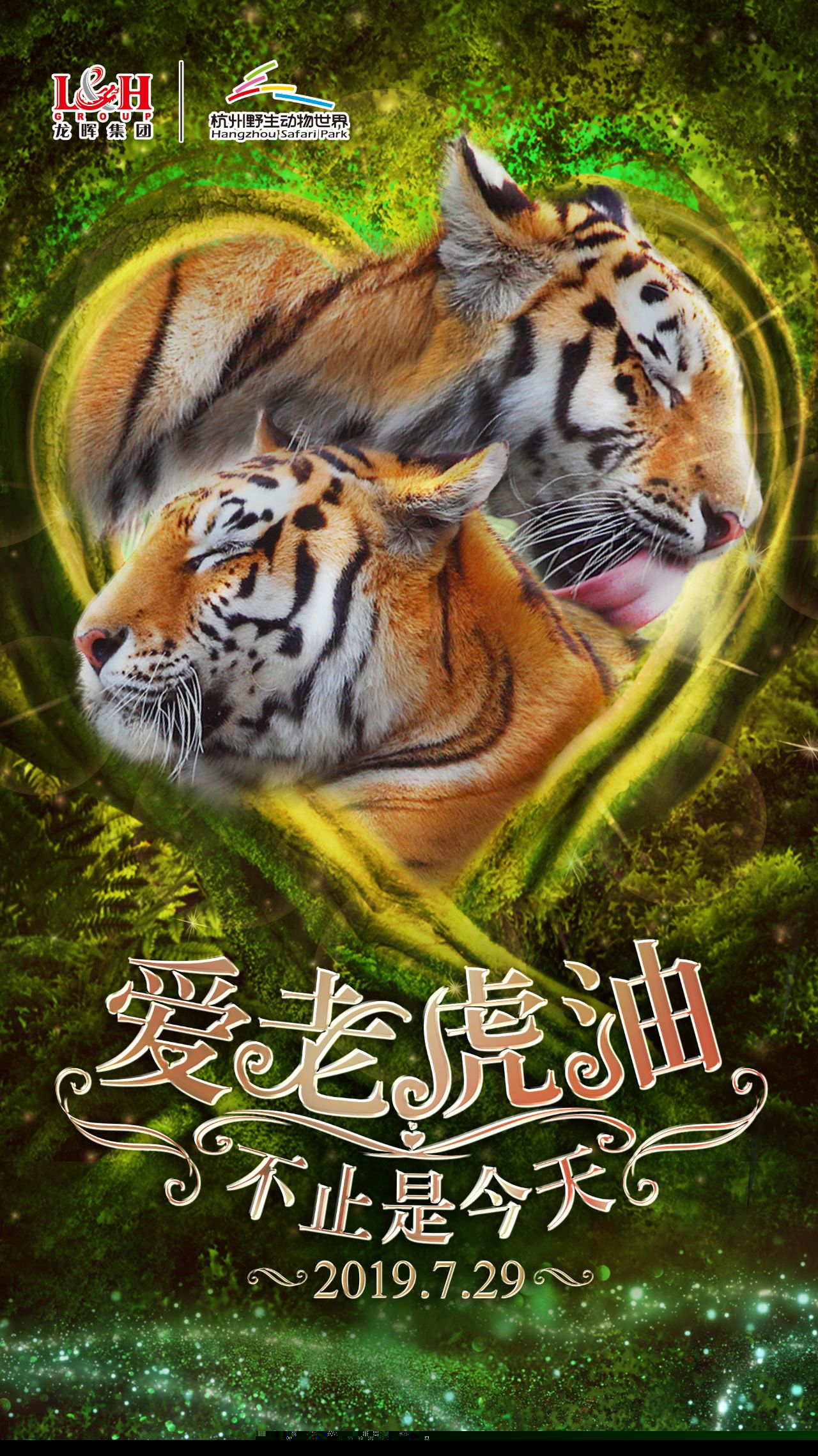 愛虎最新網(wǎng)站，一站式體驗的魅力探索