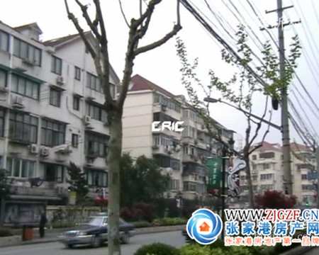 第515頁