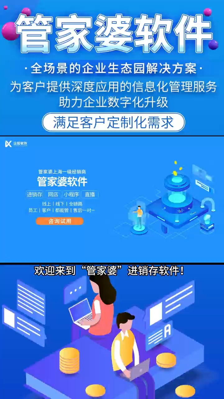 管家婆2024資料精準大全,數據決策執行_DP66.706
