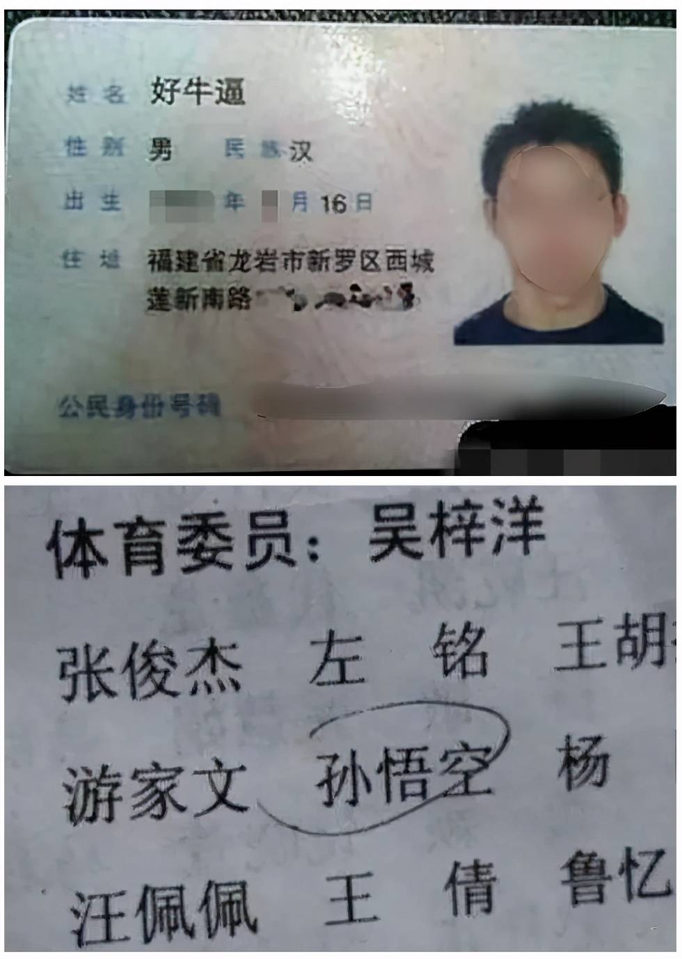 梓涵最新款時(shí)尚潮流解析揭秘