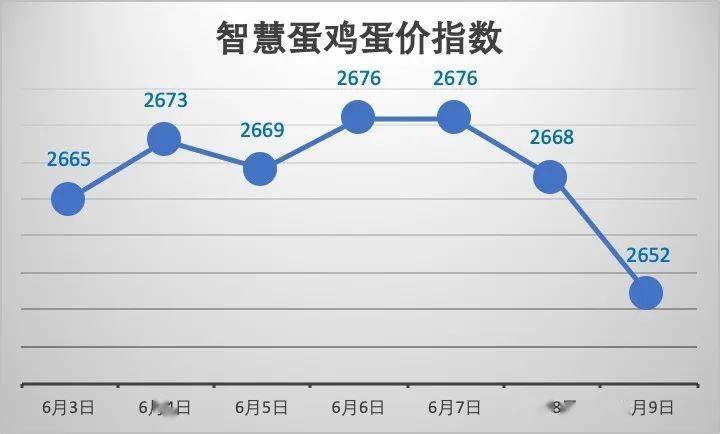 今日全國雞蛋行情分析與概覽