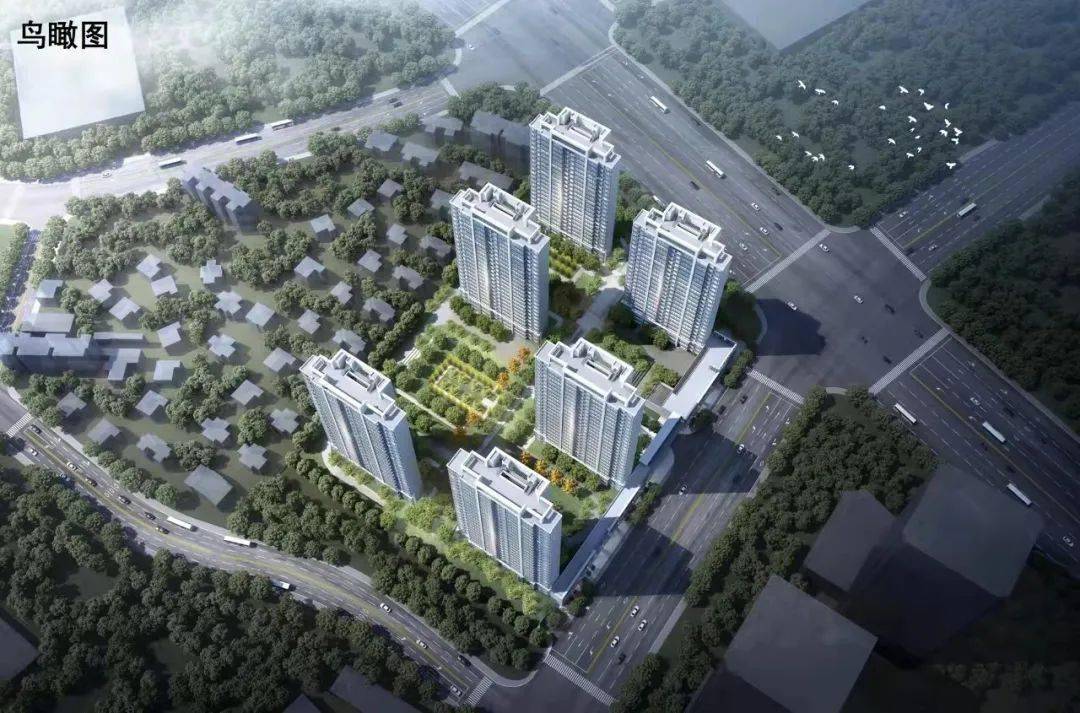 全球視角下的最新疫情觀察，中園以外的挑戰與應對策略