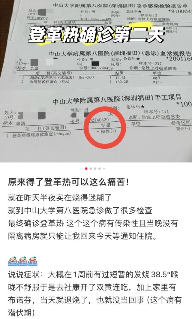 全球登革熱病例最新動態，疫情現狀與應對策略探討