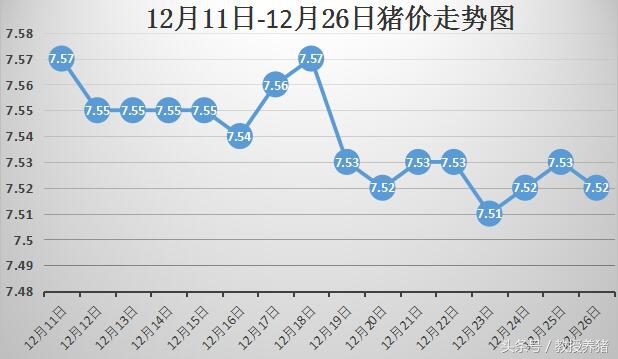 最新豬價走勢深度解析