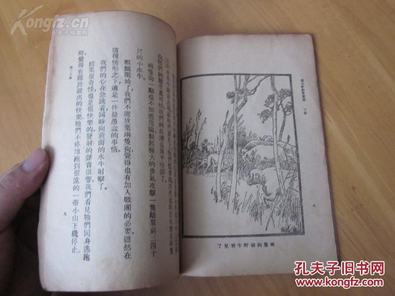一集最新小說,一集最新小說的魅力，探索未知世界的新篇章