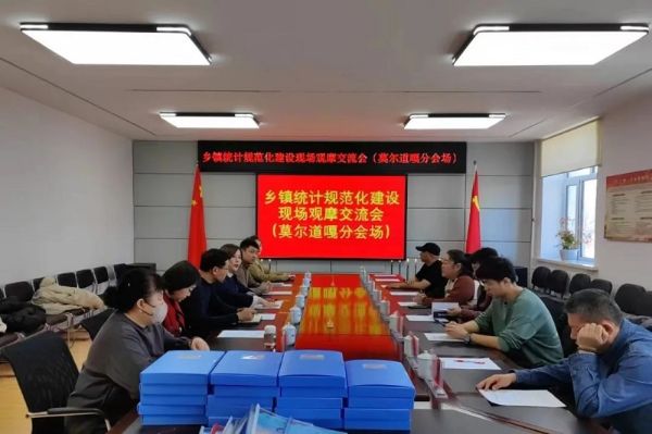 鄂倫春自治旗統(tǒng)計局最新項目研究分析揭秘，探索數(shù)據(jù)背后的力量