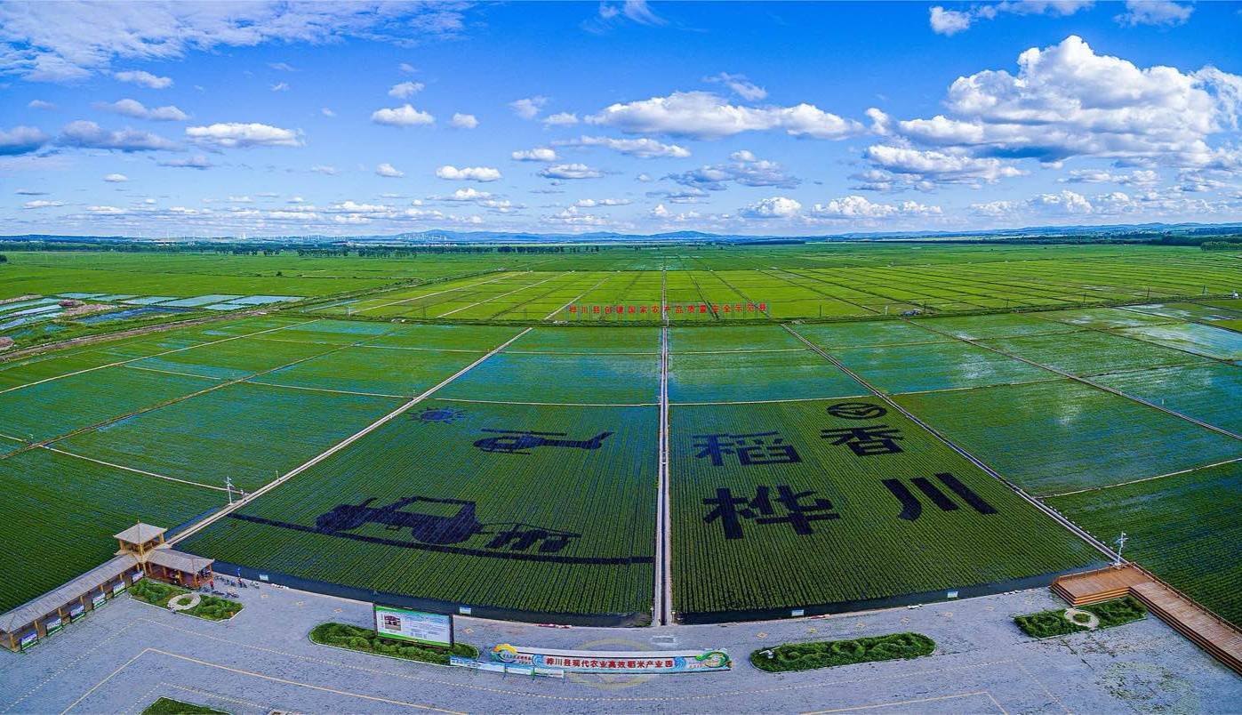 樺川縣最新發(fā)展動(dòng)態(tài)概覽
